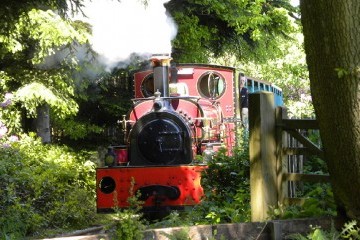 Jerry M storms up the hill on the Quarry Railway