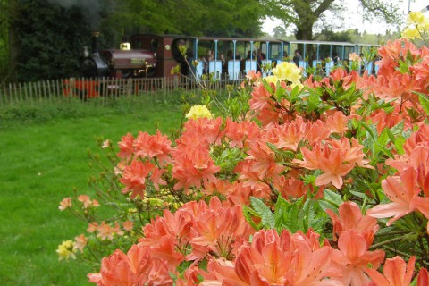 Jerry M on the Quarry Railway seen from the Azalea Walk