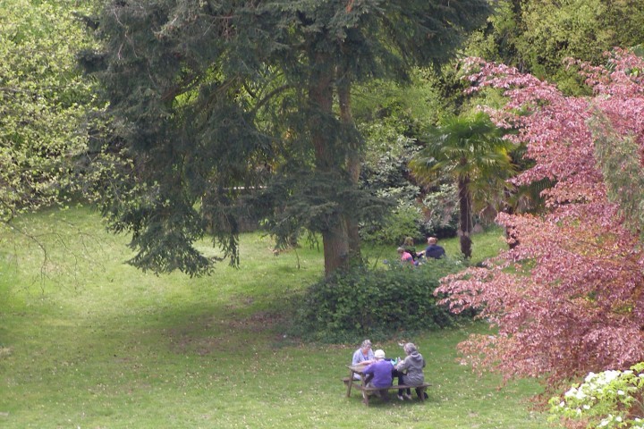 Come and picnic in the atmospheric grounds