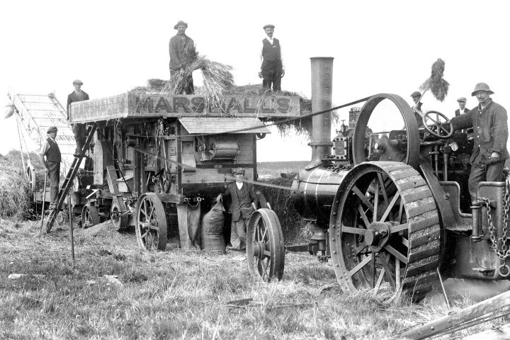 wallis-traction-engine-thrashing-scene.jpg